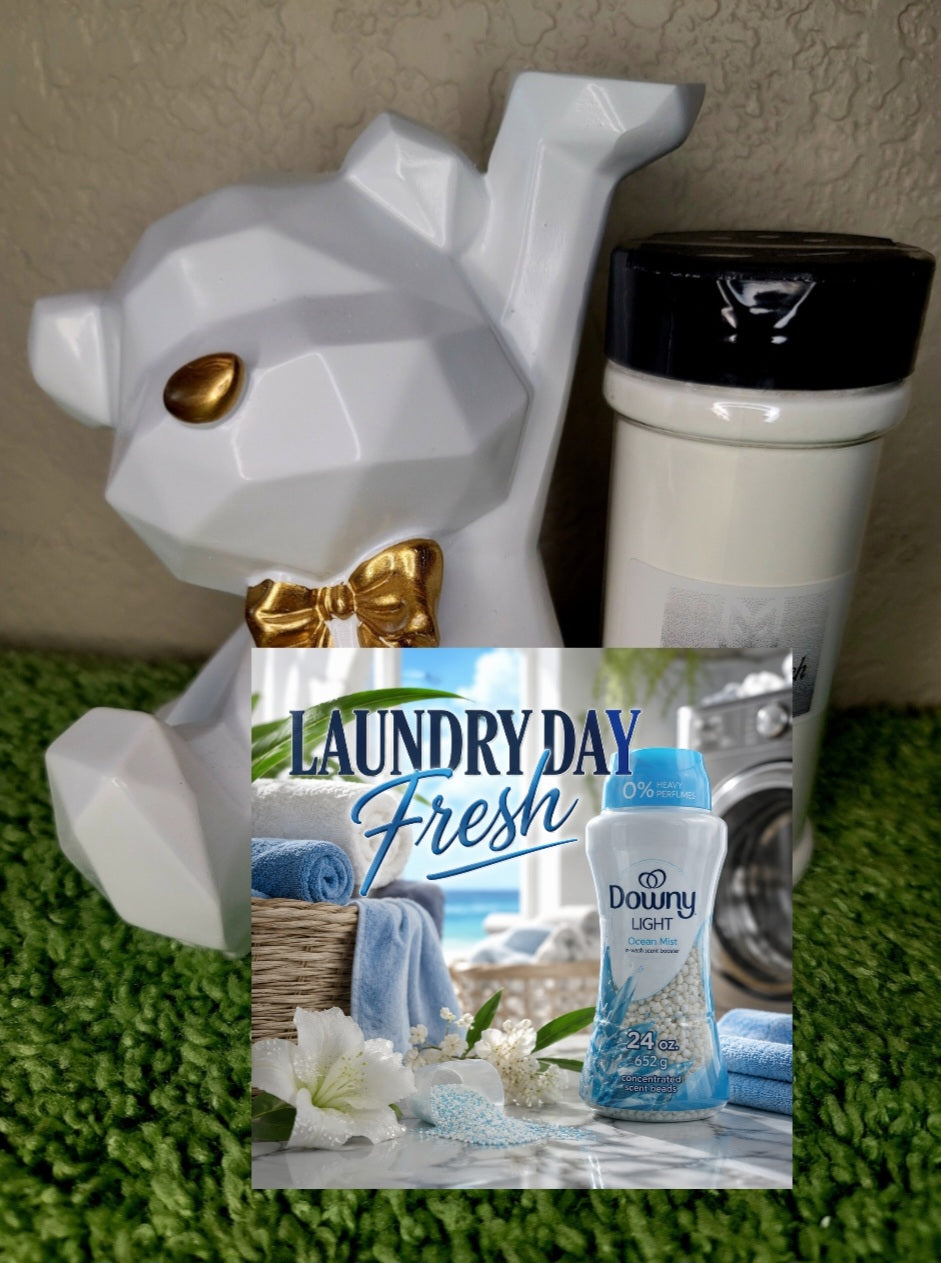 Topper Laundry Day Fresh(scented 6oz)